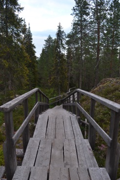 Arctic Treehouse Hotel forest trail